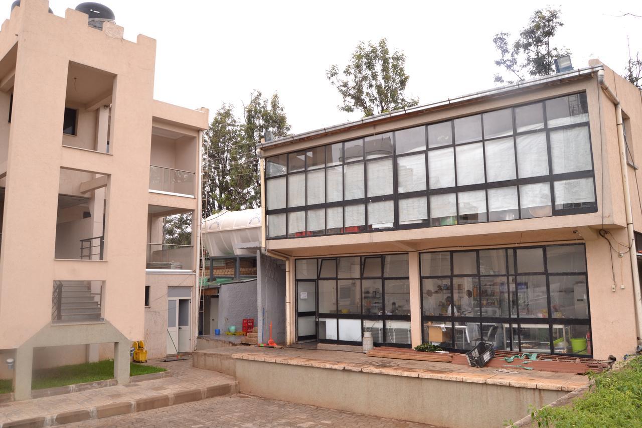 Grand Gato Hotel And Tours Harar Kültér fotó